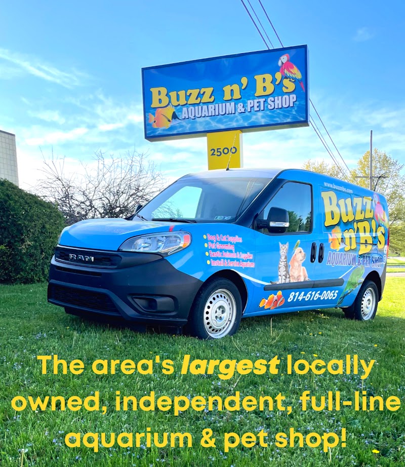 Buzz n B's Aquarium & Pet Shop - Photo 2