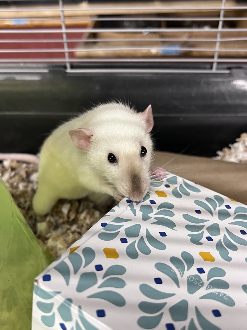 Buzz n B's Aquarium & Pet Shop - Photo 4