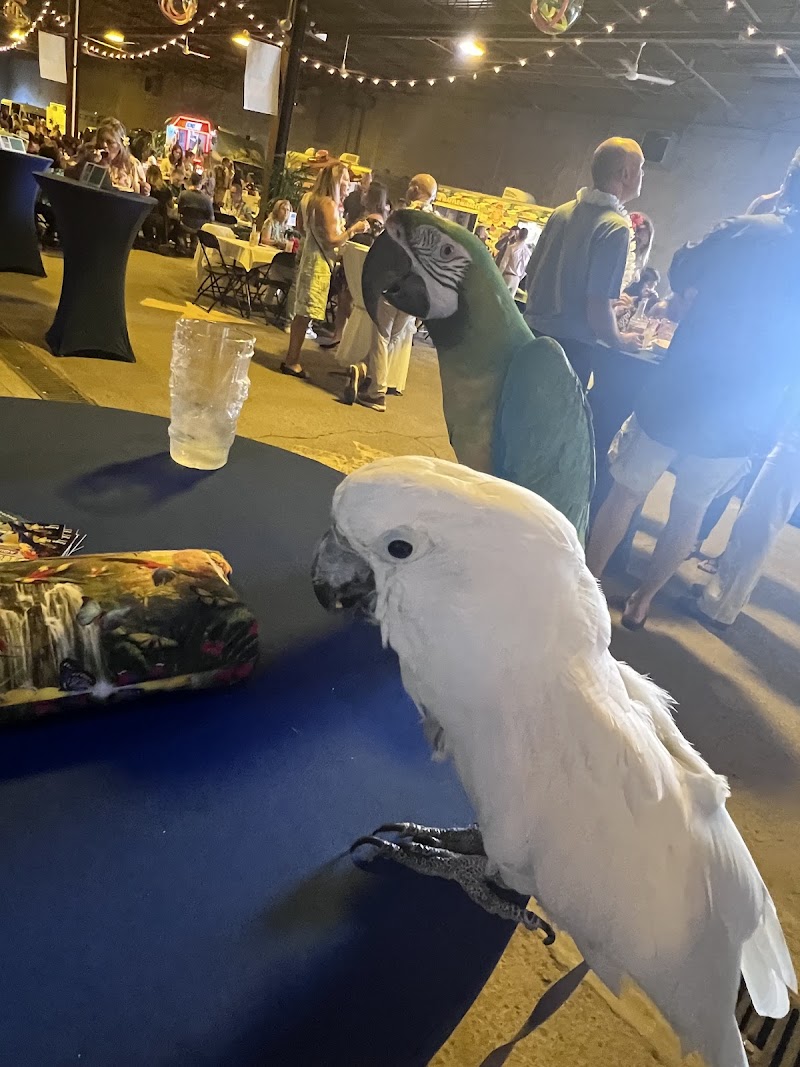 Buzz n B's Aquarium & Pet Shop - Photo 5