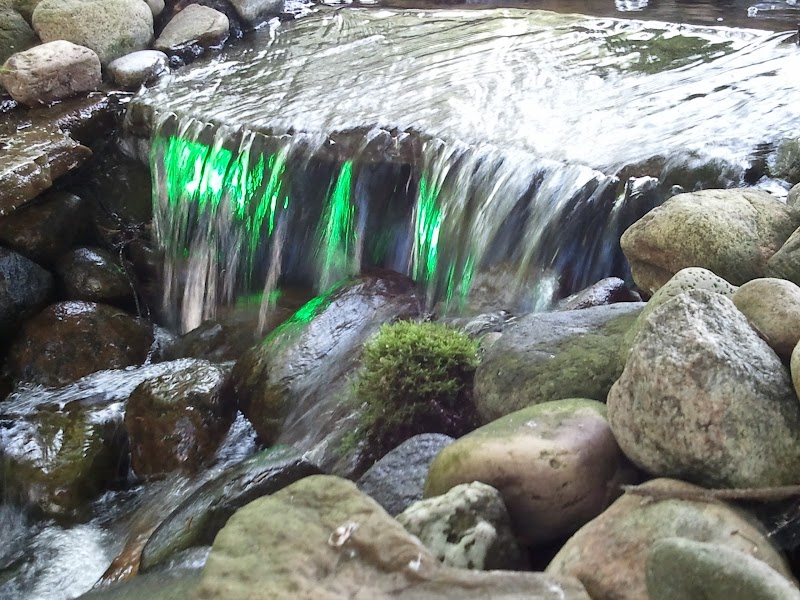 Holland's Water Gardens - Photo 2