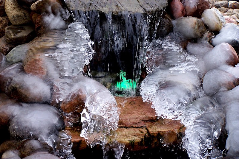 Holland's Water Gardens - Photo 4