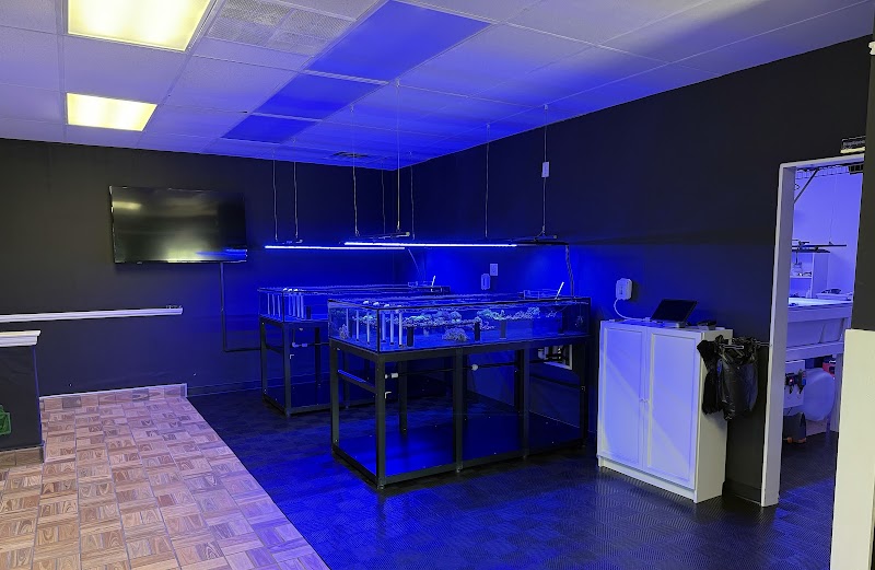 Main Line Coral Gardens - Photo 2