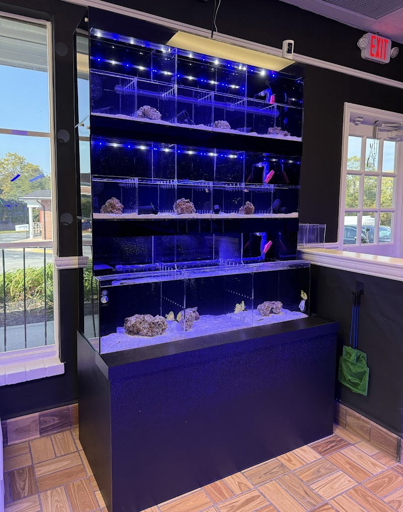 Main Line Coral Gardens - Photo 3