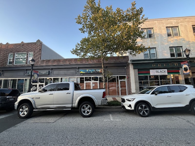 More Than Fish Aquarium and Pets - Photo 1