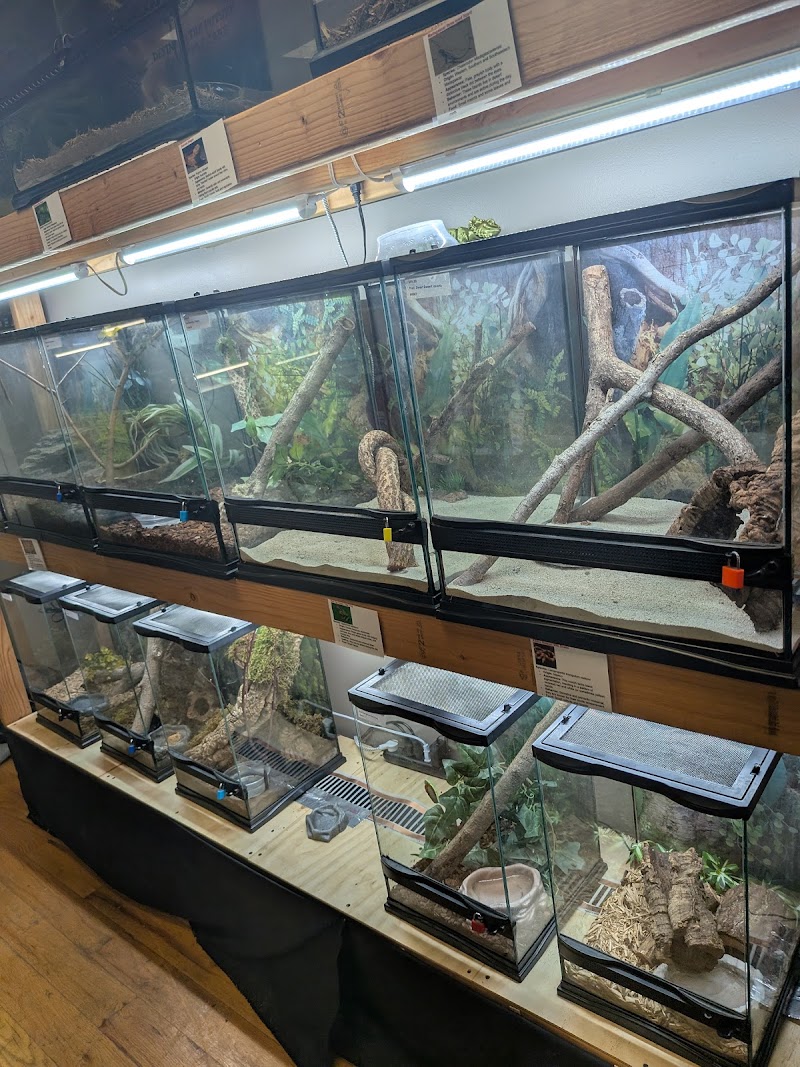 More Than Fish Aquarium and Pets - Photo 2