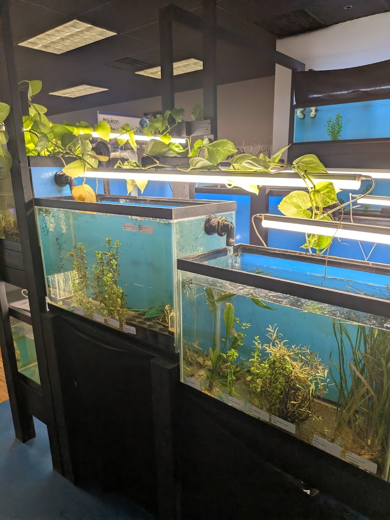 More Than Fish Aquarium and Pets - Photo 3