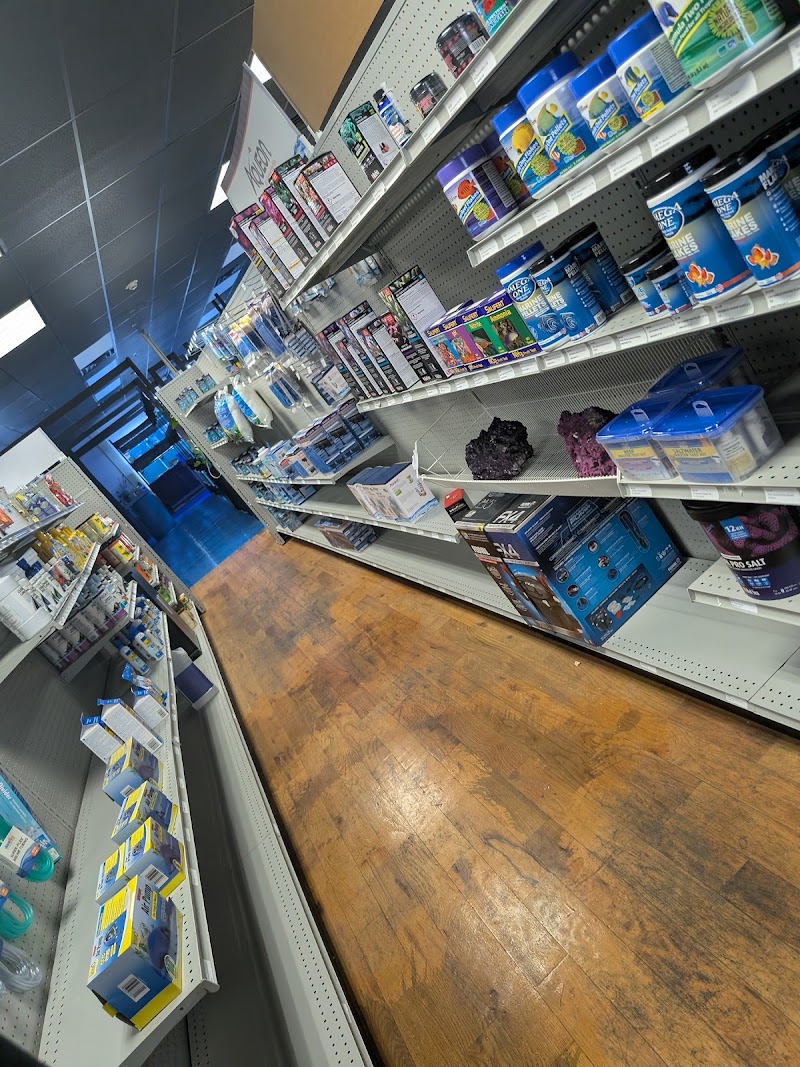 More Than Fish Aquarium and Pets - Photo 4