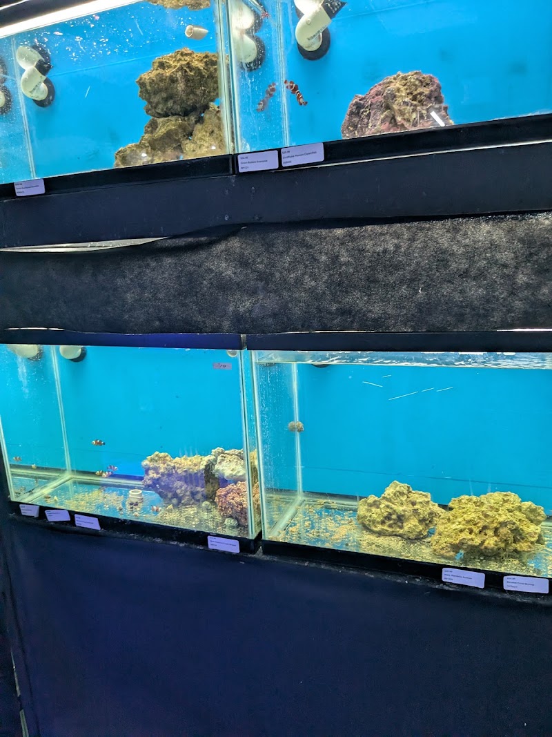 More Than Fish Aquarium and Pets - Photo 5