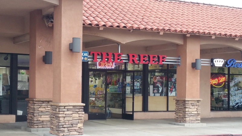 Reef Tropical Fish - Photo 1