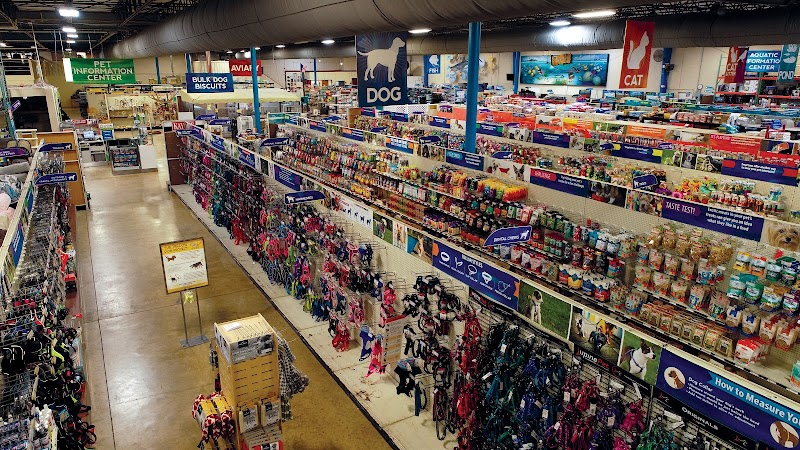 That Fish Place - That Pet Place - Photo 2