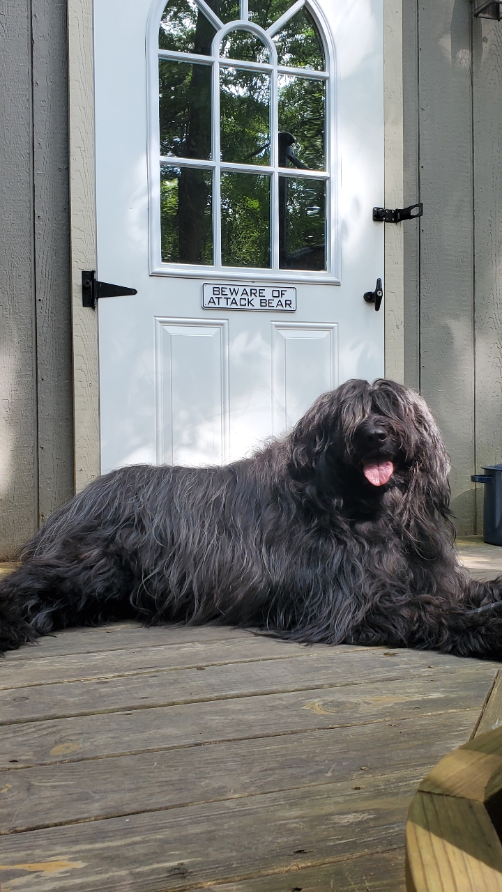 Abrams & Weakley General Store for Animals - Photo 2