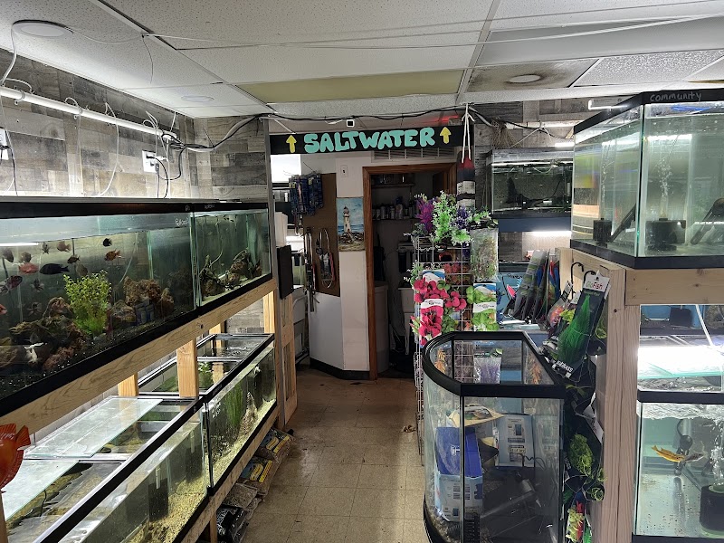 O'FishShell - Photo 5