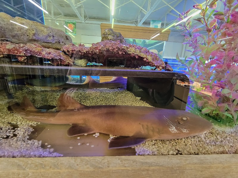 The Pet Zone - Photo 2