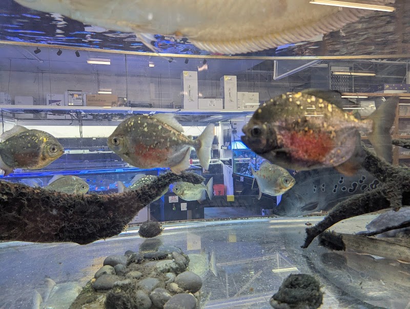 The Pet Zone - Photo 5