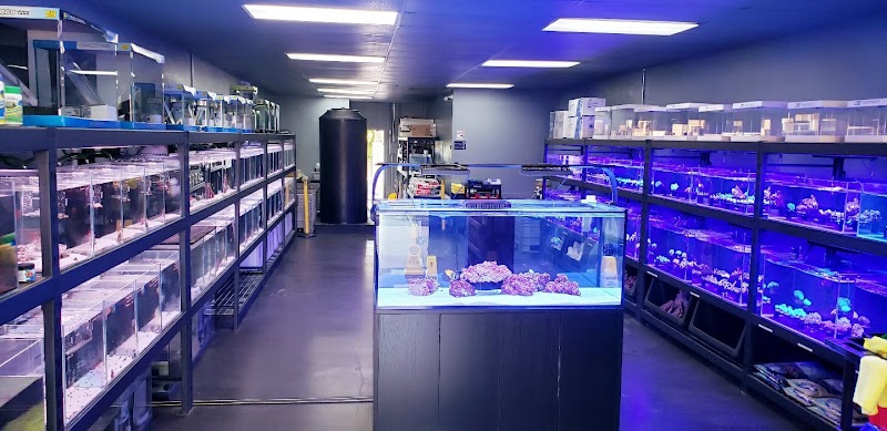 Reef factory us - Photo 2
