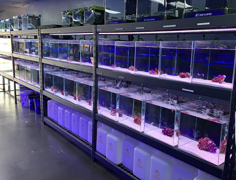 Reef factory us - Photo 5