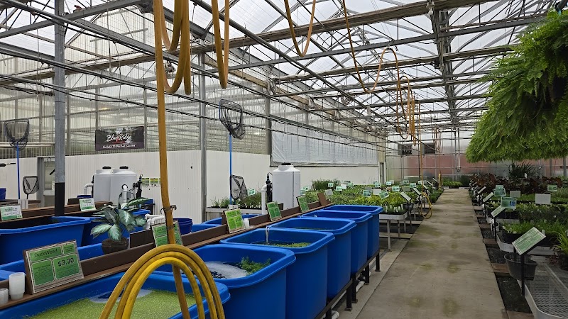 Clearwater Ponds & Aquatics - Photo 2