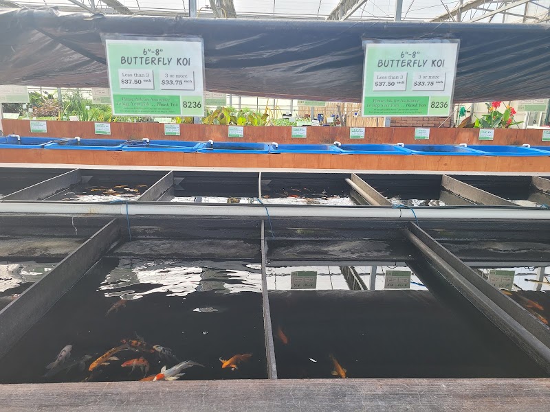 Clearwater Ponds & Aquatics - Photo 4