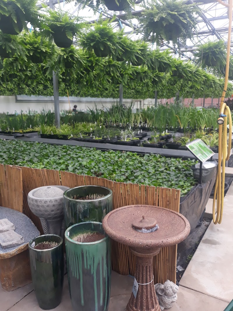 Clearwater Ponds & Aquatics - Photo 5