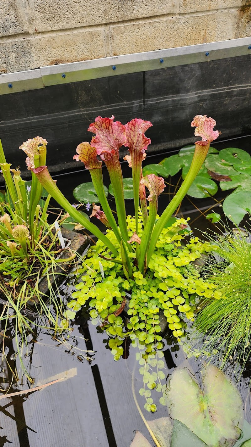 Ziegler's Ponds and Aquatic Nursery - Photo 1