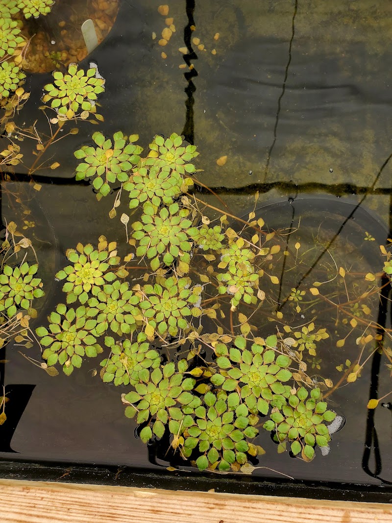 Ziegler's Ponds and Aquatic Nursery - Photo 3