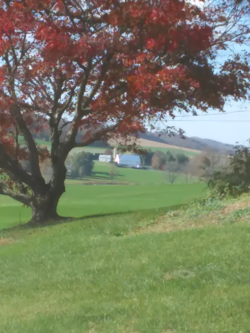 Ziegler's Ponds and Aquatic Nursery - Photo 4