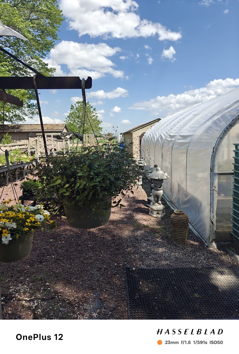 Ziegler's Ponds and Aquatic Nursery - Photo 5