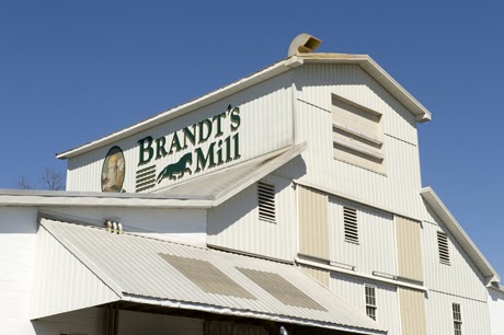 Brandt’s Mill Specialty Pet Store - Photo 1