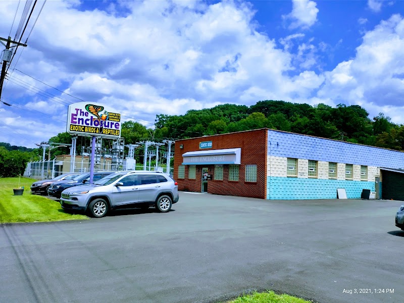 The Enclosure - Photo 1