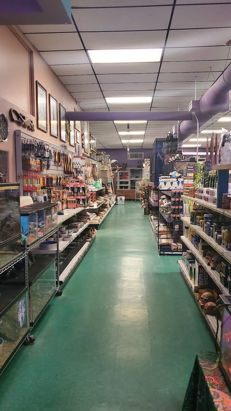 The Enclosure - Photo 2