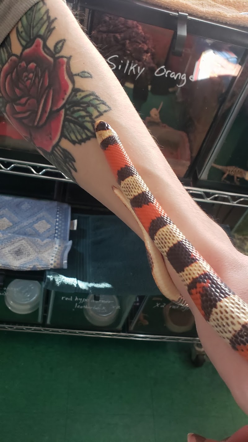 The Enclosure - Photo 3