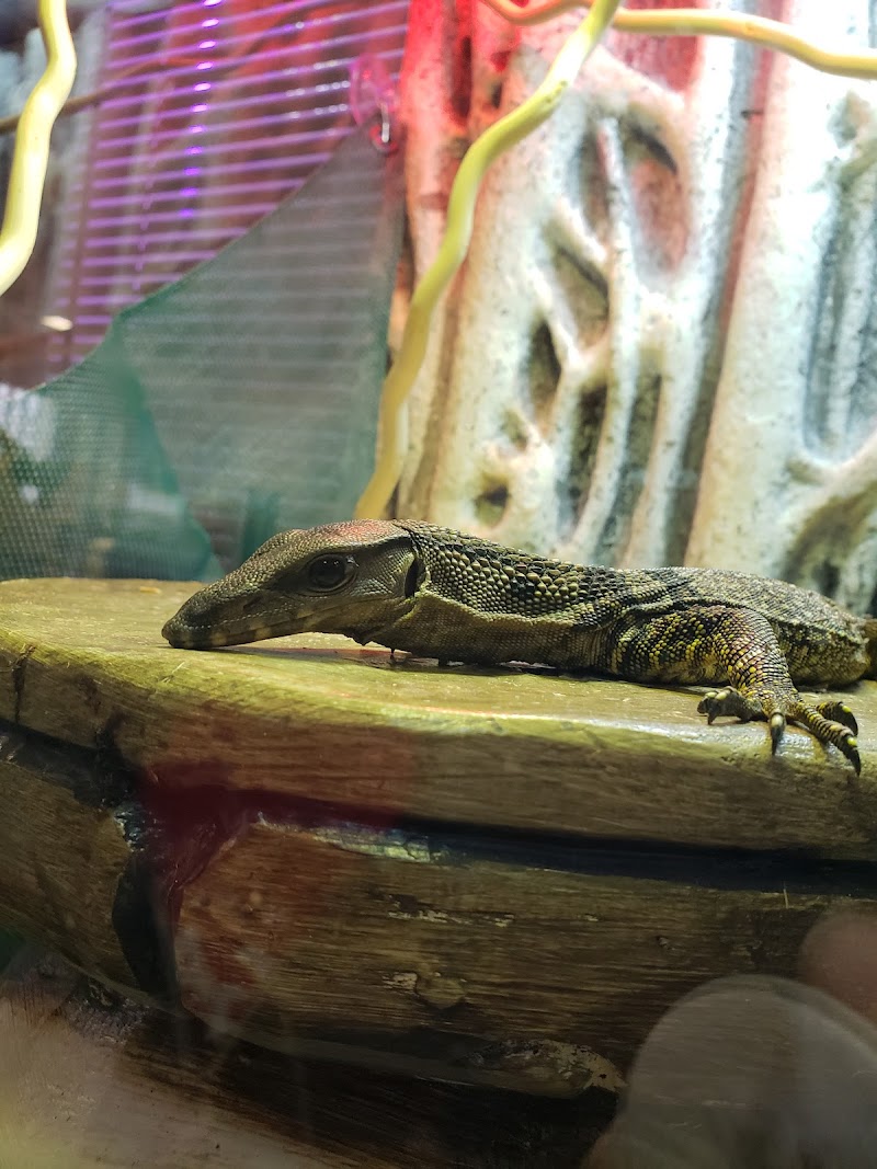 The Enclosure - Photo 4