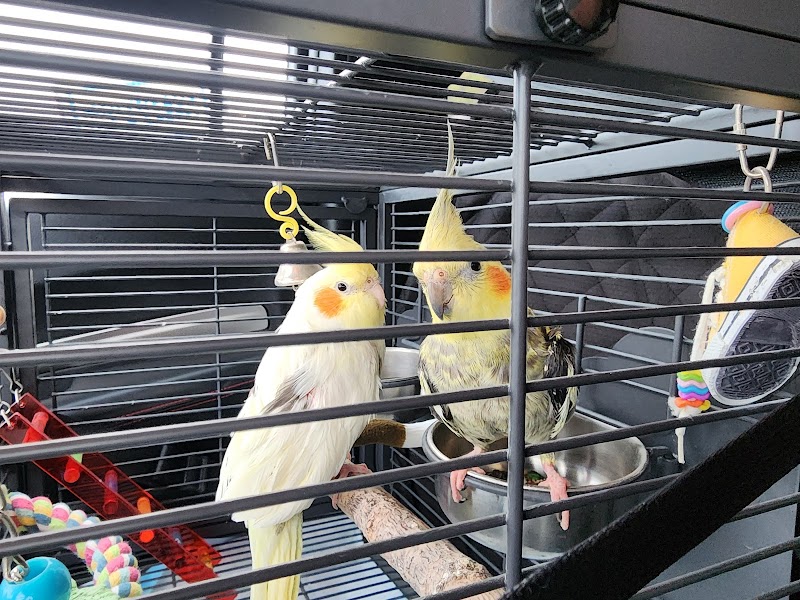 The Enclosure - Photo 5