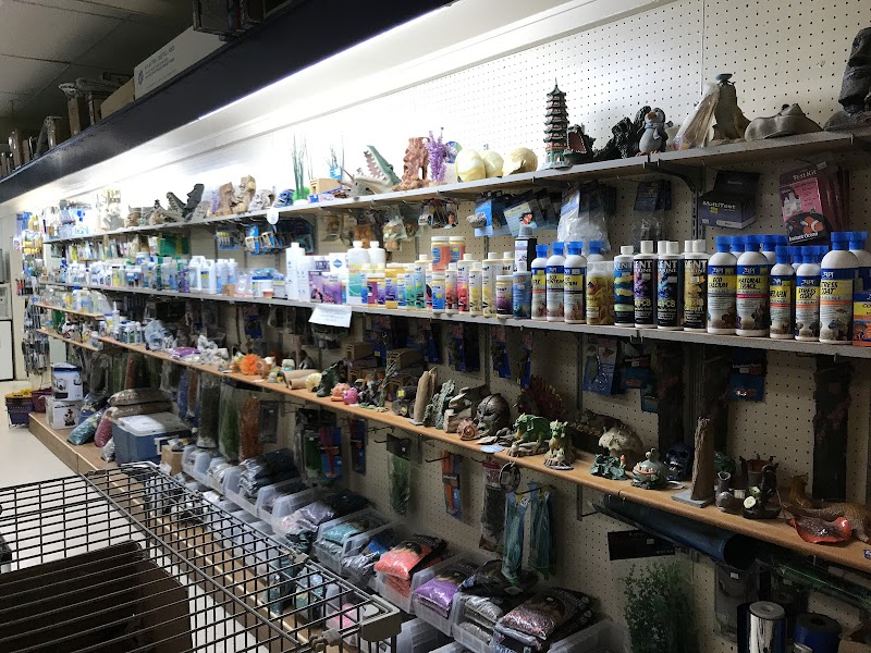 The Fish Bowl Too - Photo 3