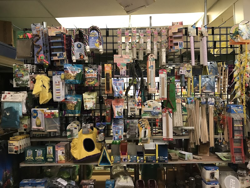 The Fish Bowl Too - Photo 4