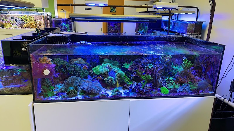 Amazing Aquariums & Reefs - Photo 2