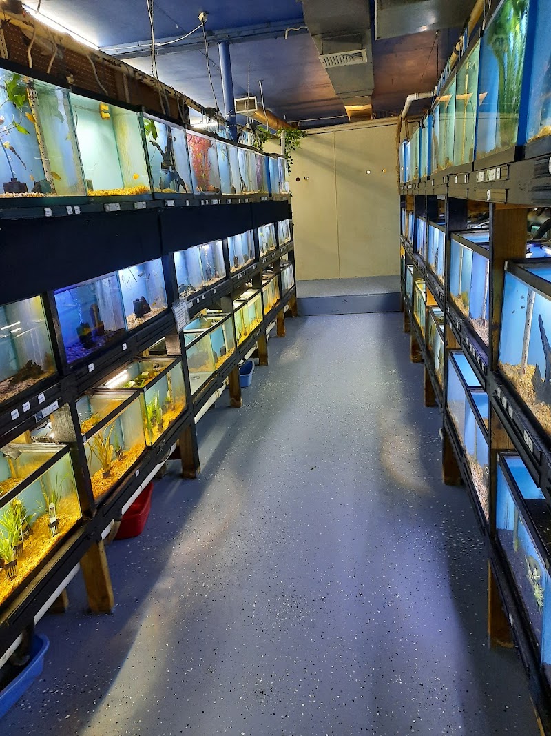 Fins Feathers Paws & Claws - Photo 4