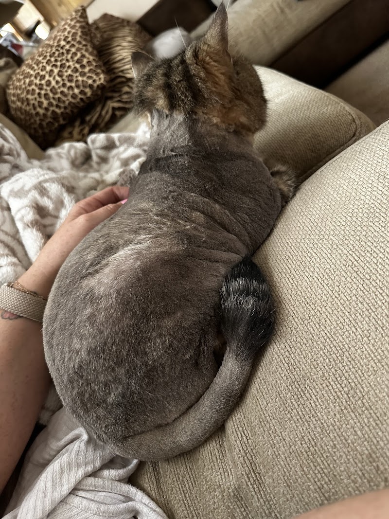 Fins Feathers Paws & Claws - Photo 5