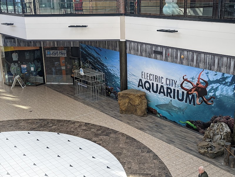 Electric City Aquarium & Reptile Den - Photo 2