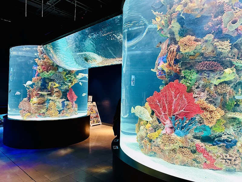 Electric City Aquarium & Reptile Den - Photo 3