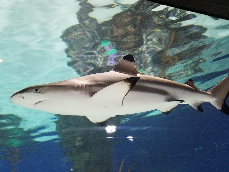 Electric City Aquarium & Reptile Den - Photo 4