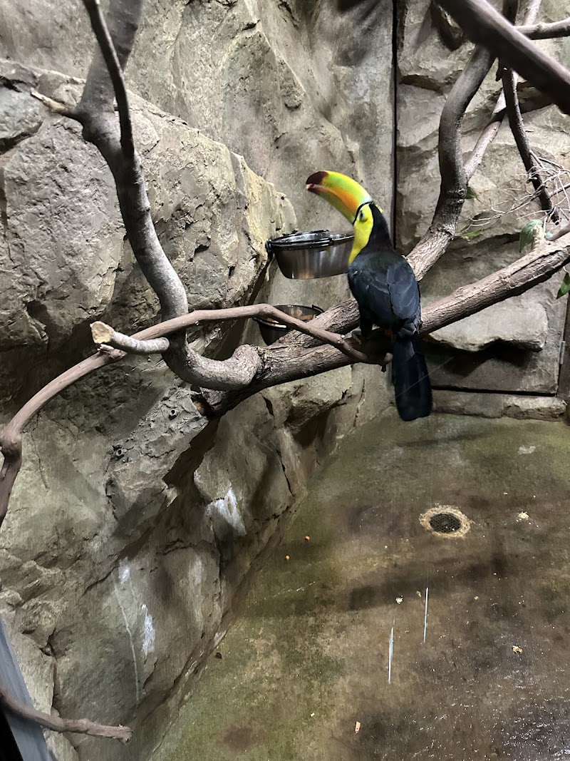 Electric City Aquarium & Reptile Den - Photo 5