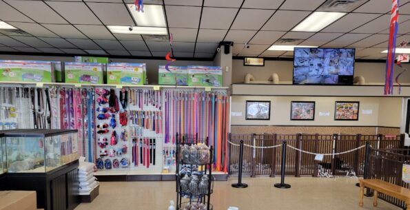 Tropic Pet Center Inc - Photo 5