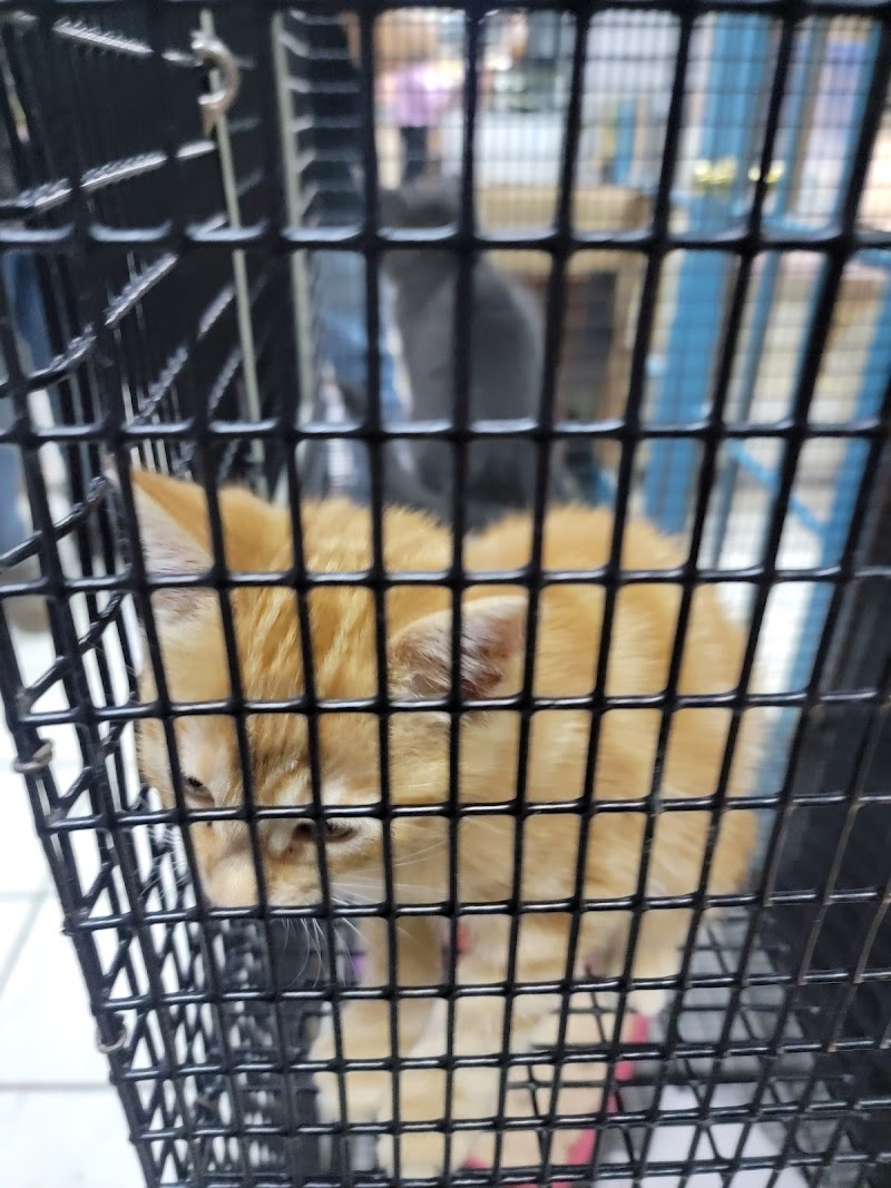 Pet World - Photo 1