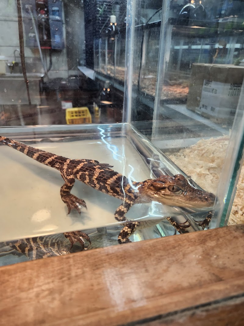 Pet World - Photo 2