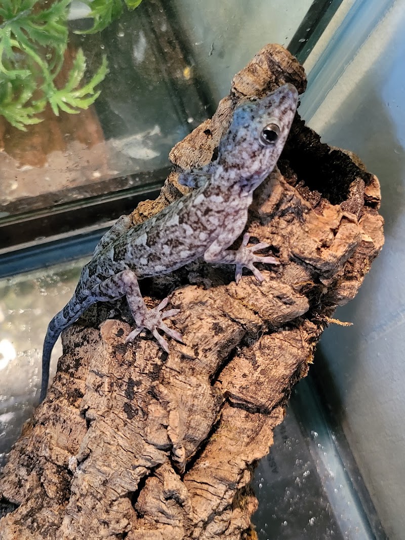 Pet World - Photo 3