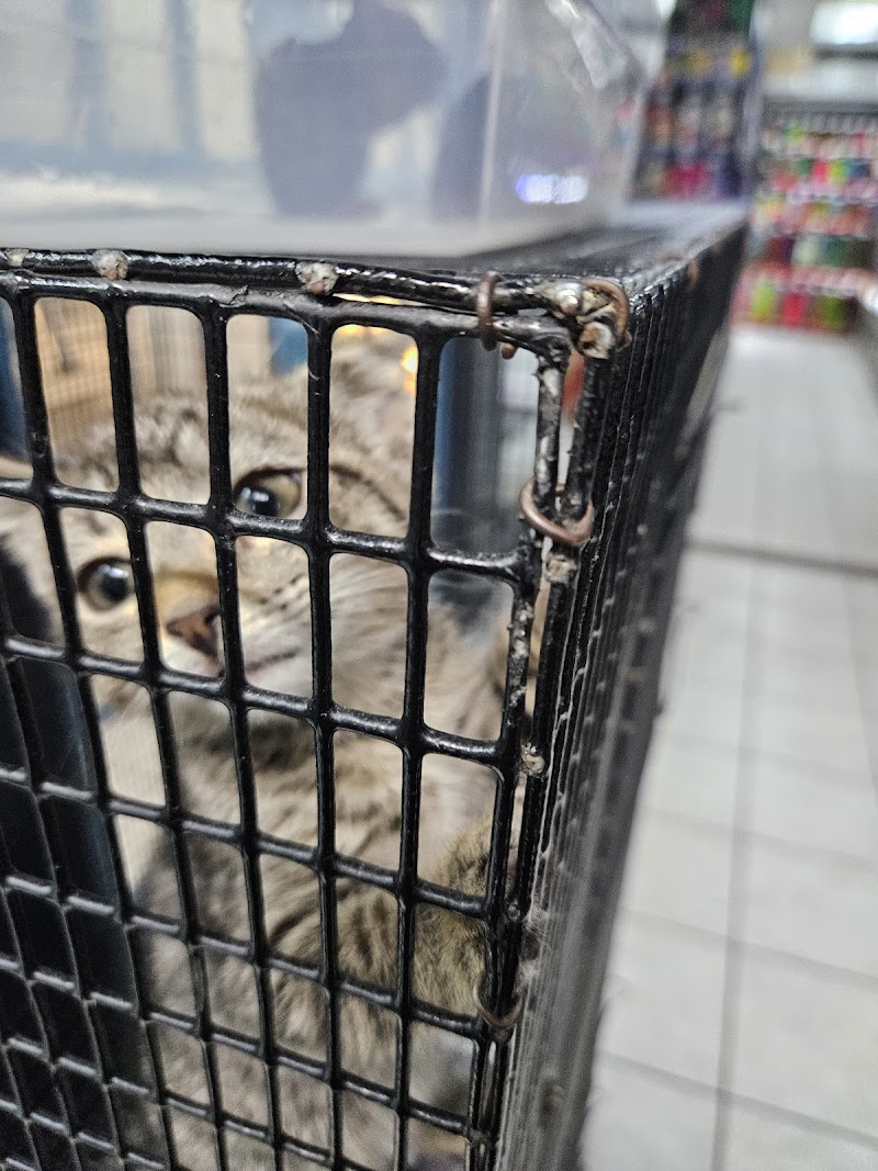 Pet World - Photo 4
