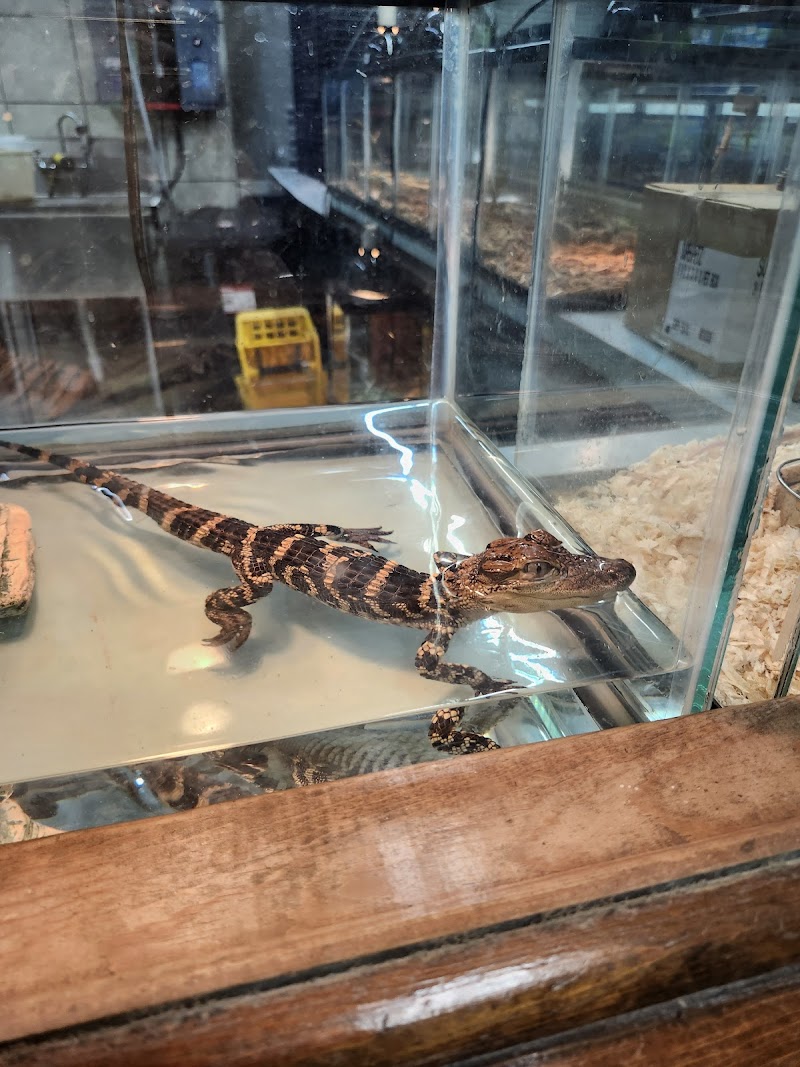 Pet World - Photo 5