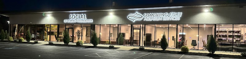 Something Fishy, Inc. - Photo 1