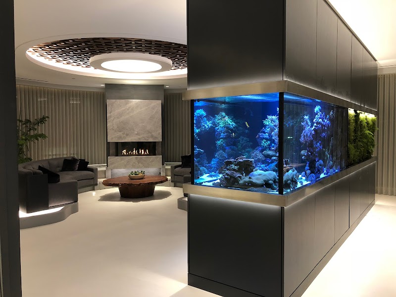 Something Fishy, Inc. - Photo 3